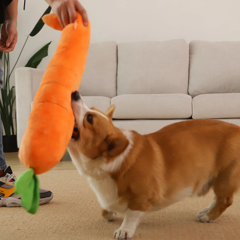 Woof Carrot Interactive Chew Toy With Crackling Sound