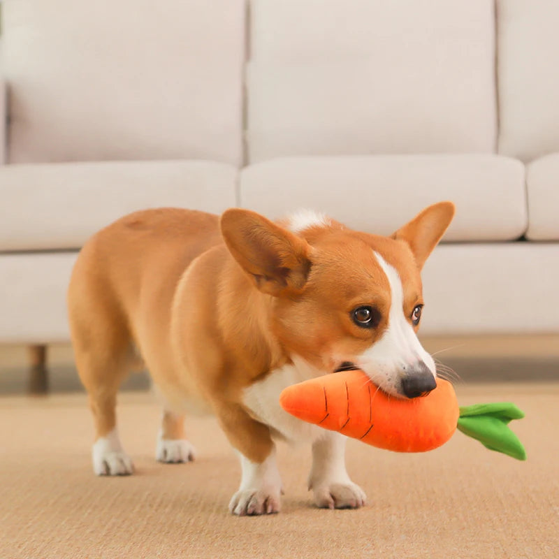 Woof Carrot Interactive Chew Toy With Crackling Sound