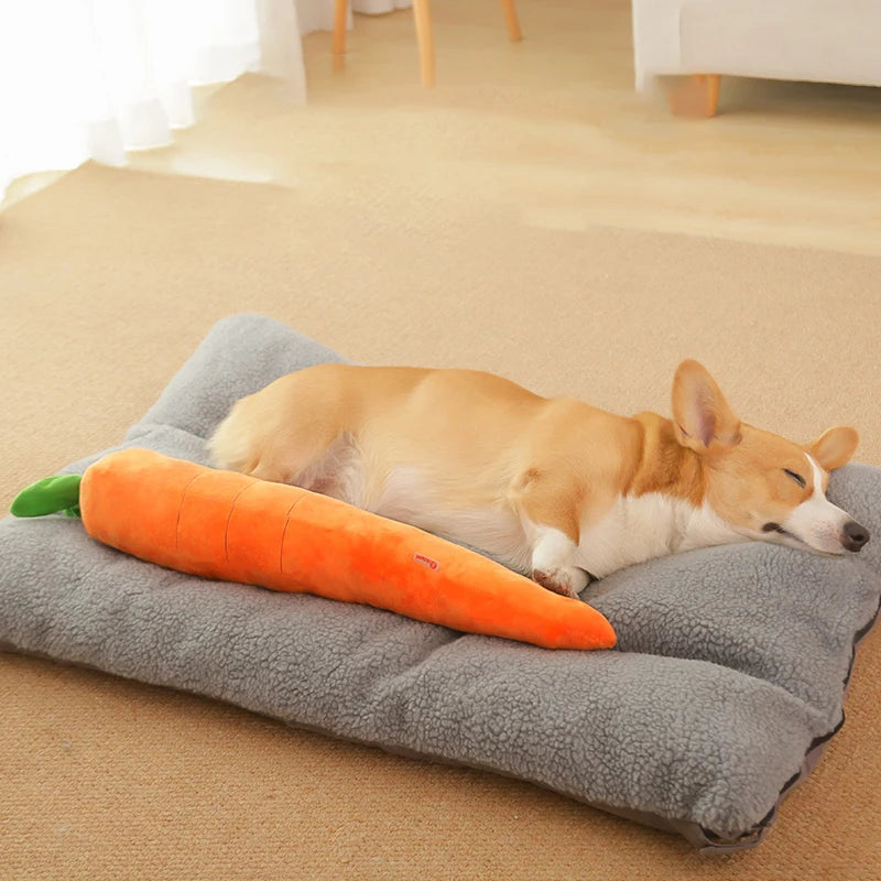 Woof Carrot Interactive Chew Toy With Crackling Sound