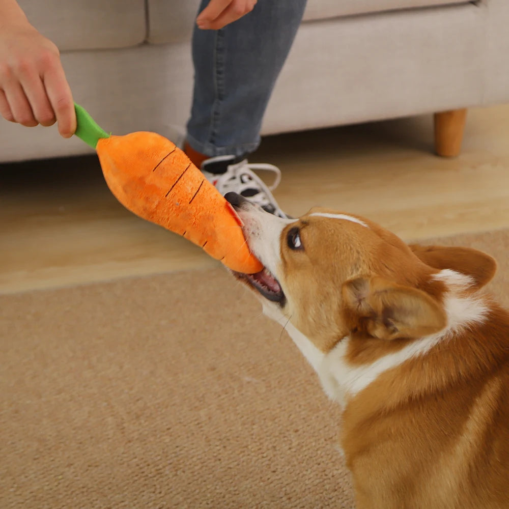 Woof Carrot Interactive Chew Toy With Crackling Sound