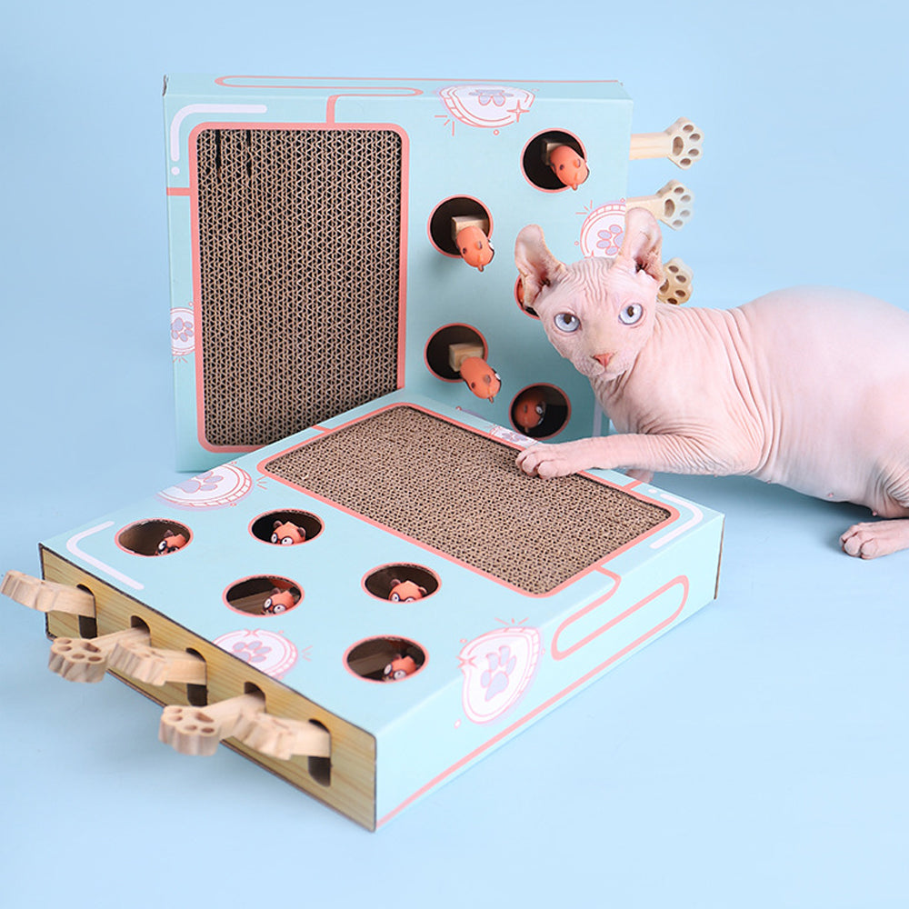 Peek & Play Scratch Box