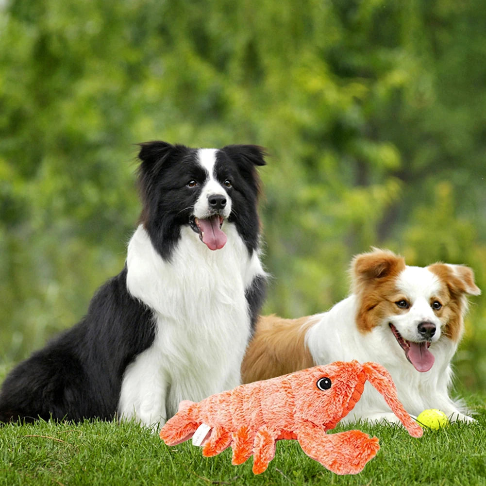 Wiggle Lobster USB Rechargeable Interactive Cat And Dog Toy