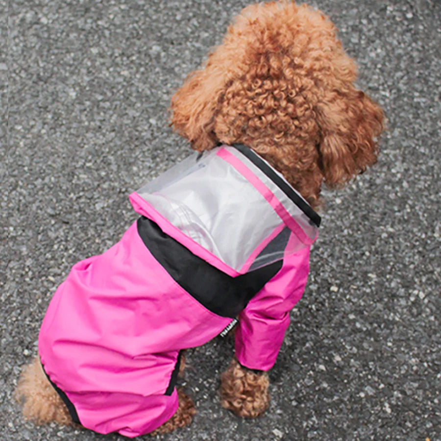 The Dog Face Rain Coat