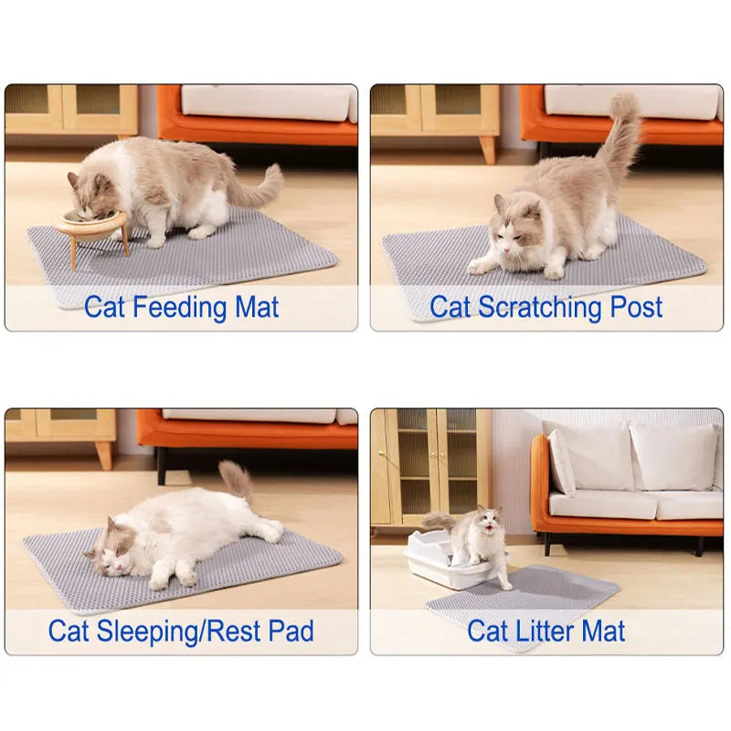 The Paw Clean Litter Mat