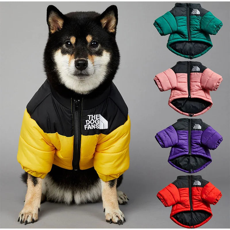 The Dog Face Waterproof Jacket