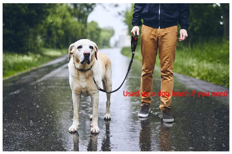 3 In 1 Dog Harness Lead & Car Seat Belt!