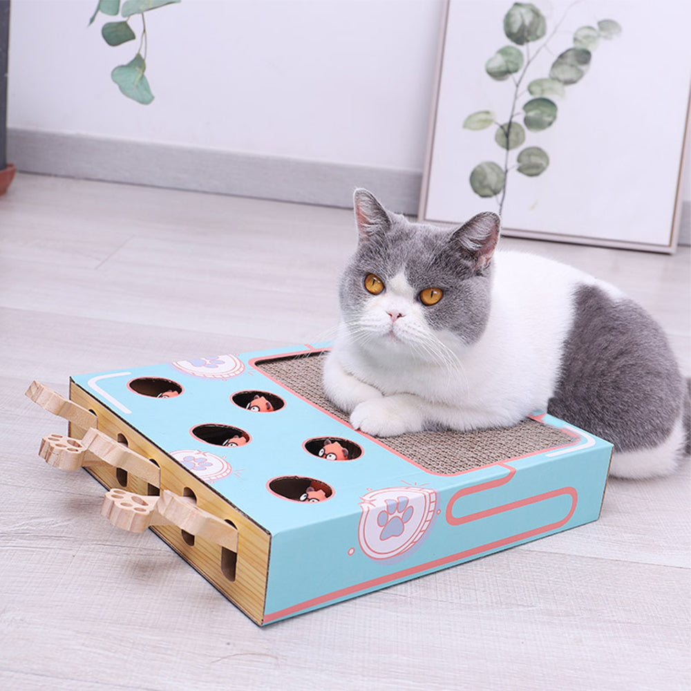 Peek & Play Scratch Box