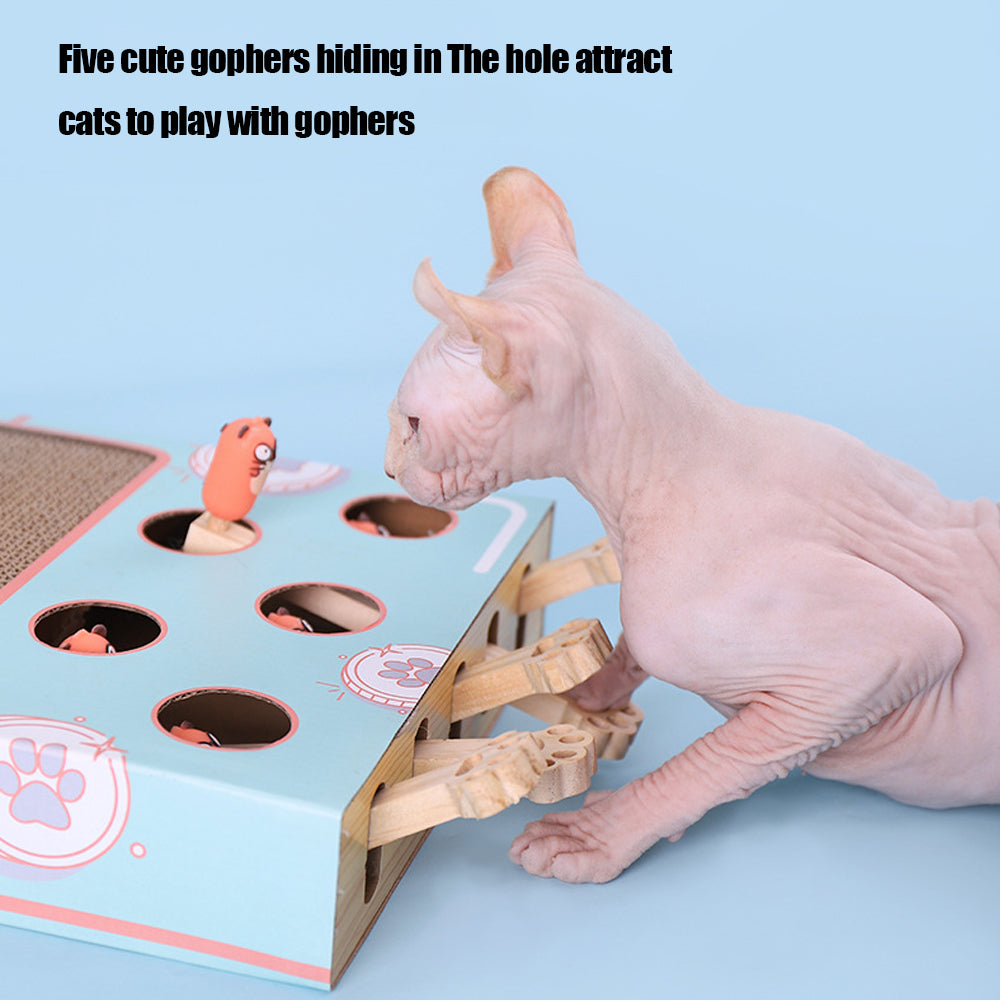 Peek & Play Scratch Box