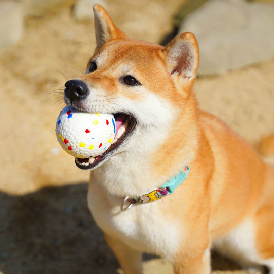 ChewTitan™ Interactive Virtually Indestructible Dog Ball