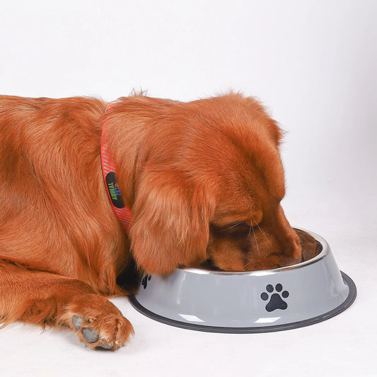 Stainless Steel Pet Bowl For Cats And Dogs