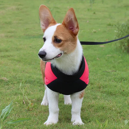 The Dog Face Padded Waterproof