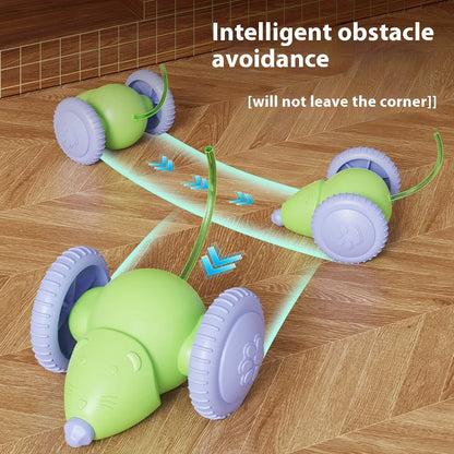 Smart Chase Cat Toy