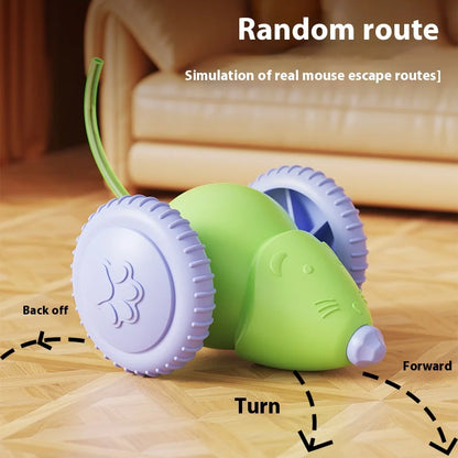 Smart Chase Cat Toy