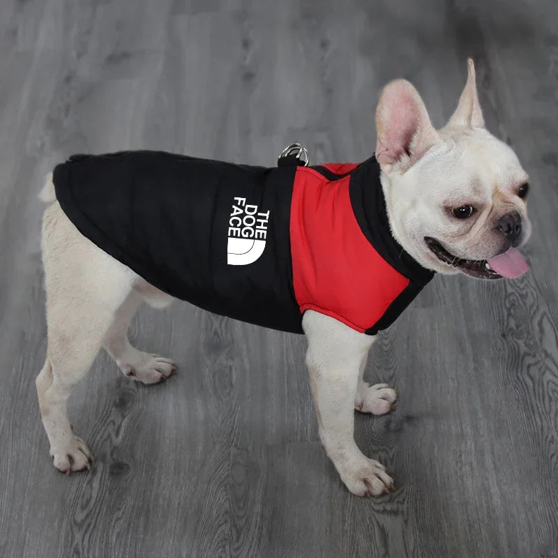 The Dog Face Padded Waterproof