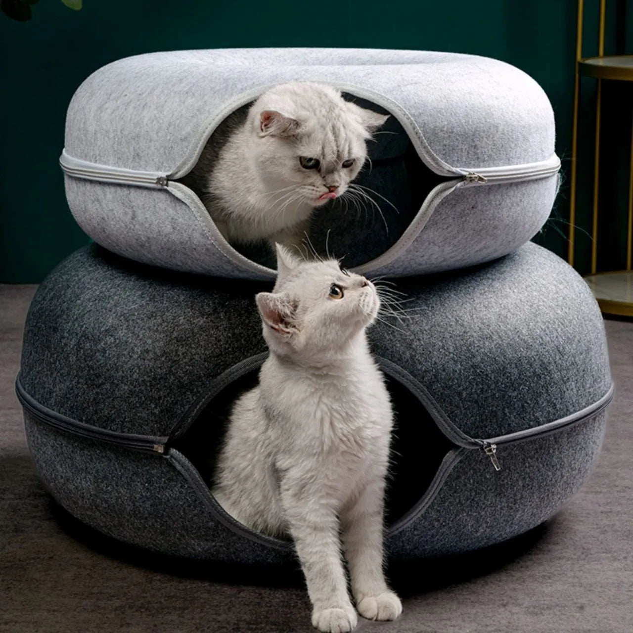 CozyPaw Donut Tunnel Bed