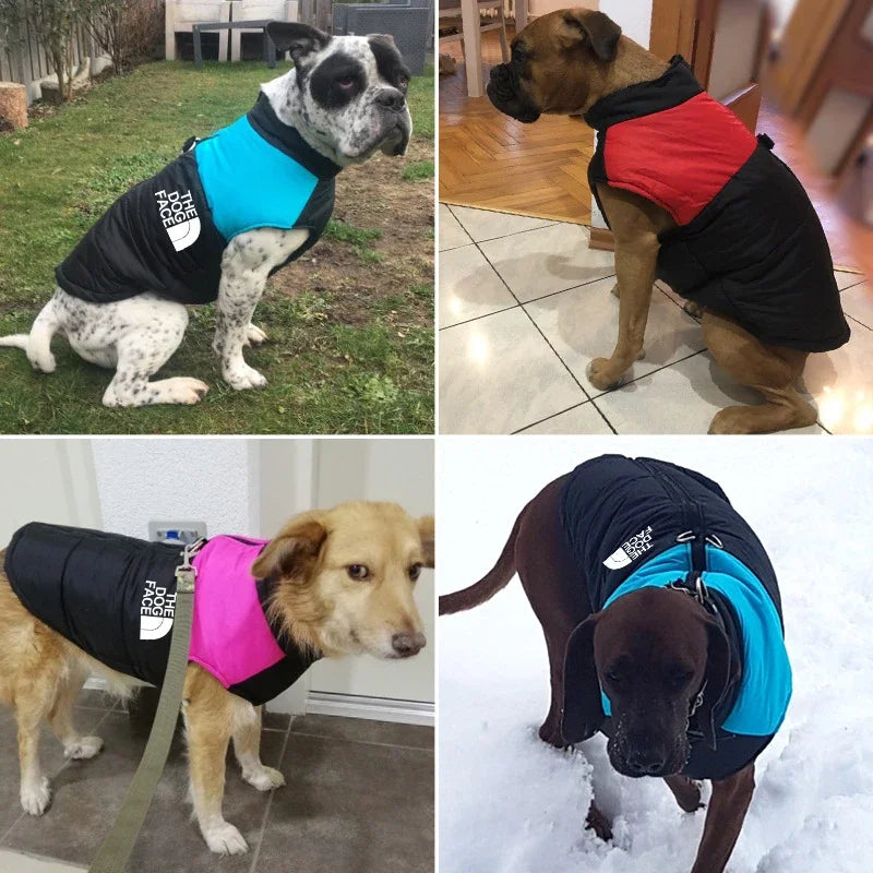 The Dog Face Padded Waterproof