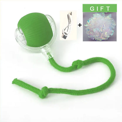 Purrfect Chase Smart Rolling Cat Toy with Tail