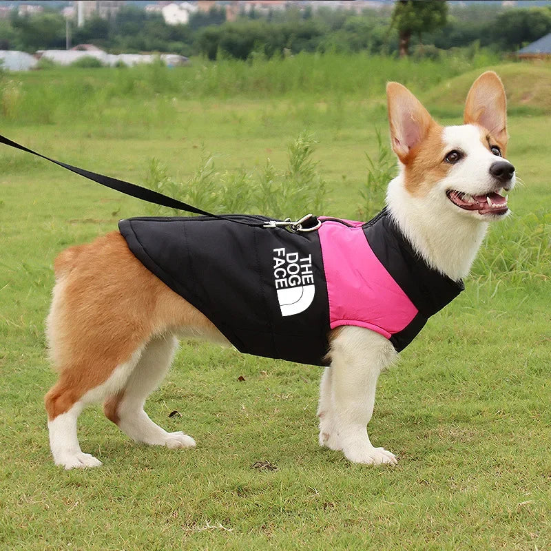 The Dog Face Padded Waterproof