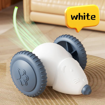 Smart Chase Cat Toy
