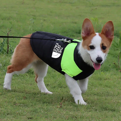 The Dog Face Padded Waterproof