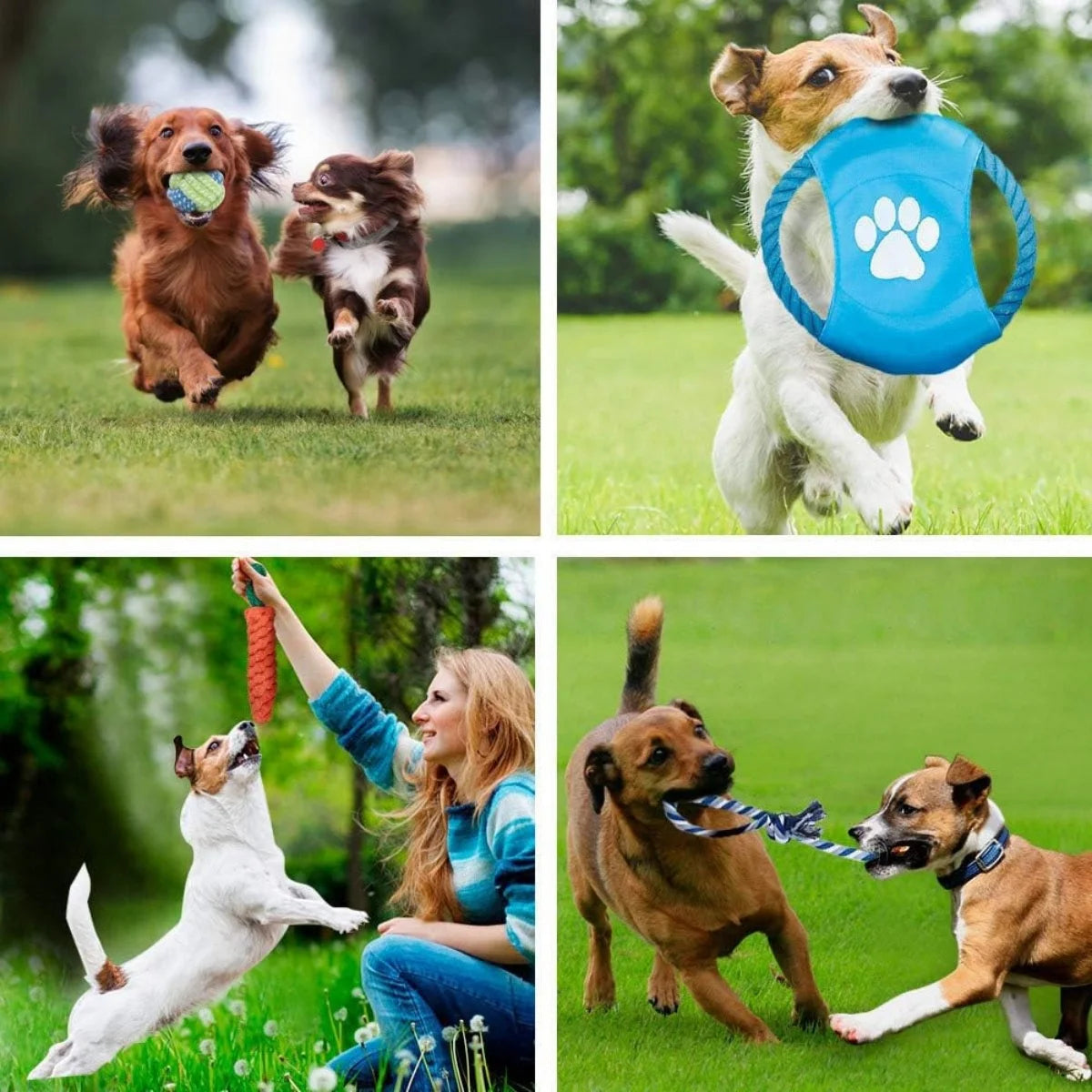 PupPlay Pro Pack