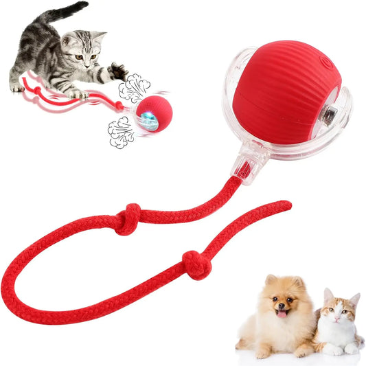 Purrfect Chase Smart Rolling Cat Toy with Tail