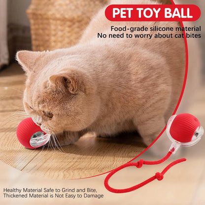 Purrfect Chase Smart Rolling Cat Toy with Tail