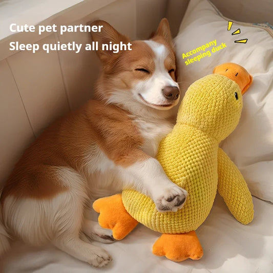 Snuggle Quack Plush Toy