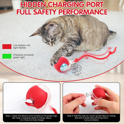 Purrfect Chase Smart Rolling Cat Toy with Tail