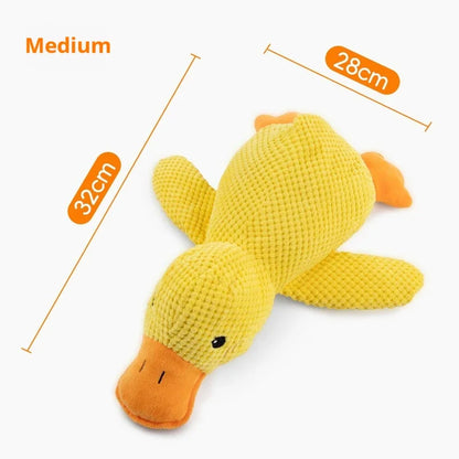 Snuggle Quack Plush Toy