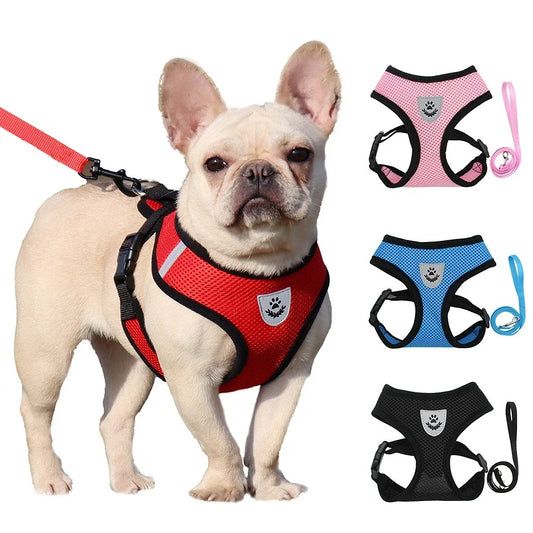 BreezePaw Adjustable Mesh Harness & Lead