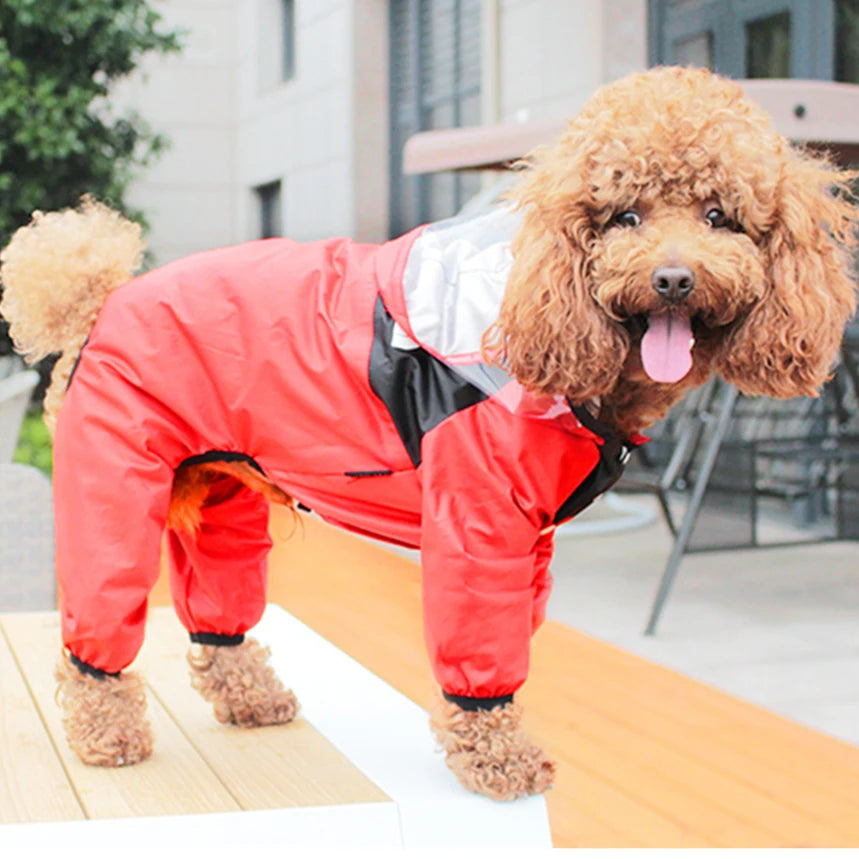 The Dog Face Rain Coat