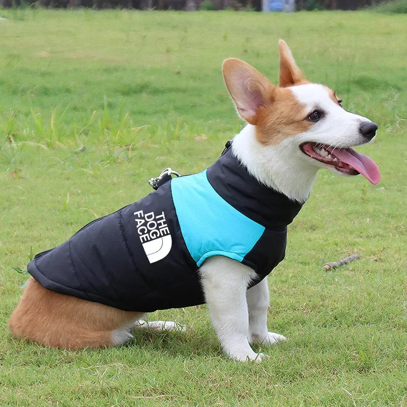 The Dog Face Padded Waterproof