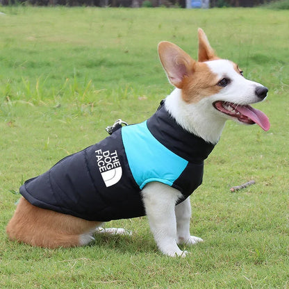 The Dog Face Padded Waterproof