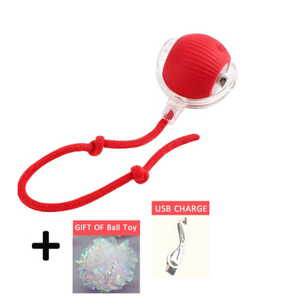 Purrfect Chase Smart Rolling Cat Toy with Tail