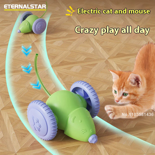 Smart Chase Cat Toy