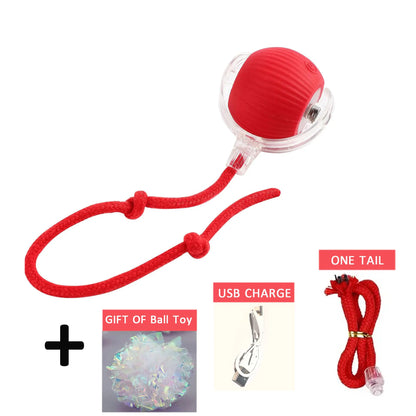 Purrfect Chase Smart Rolling Cat Toy with Tail