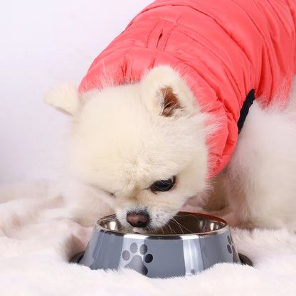 Stainless Steel Pet Bowl For Cats And Dogs
