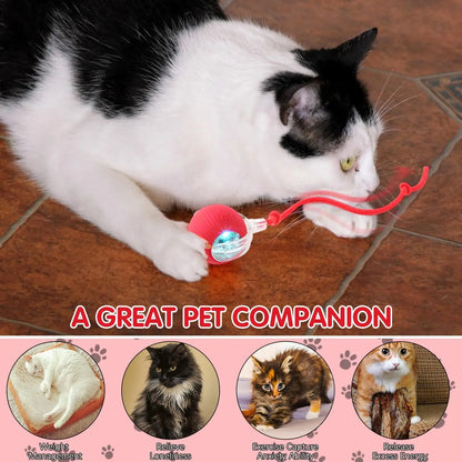 Purrfect Chase Smart Rolling Cat Toy with Tail