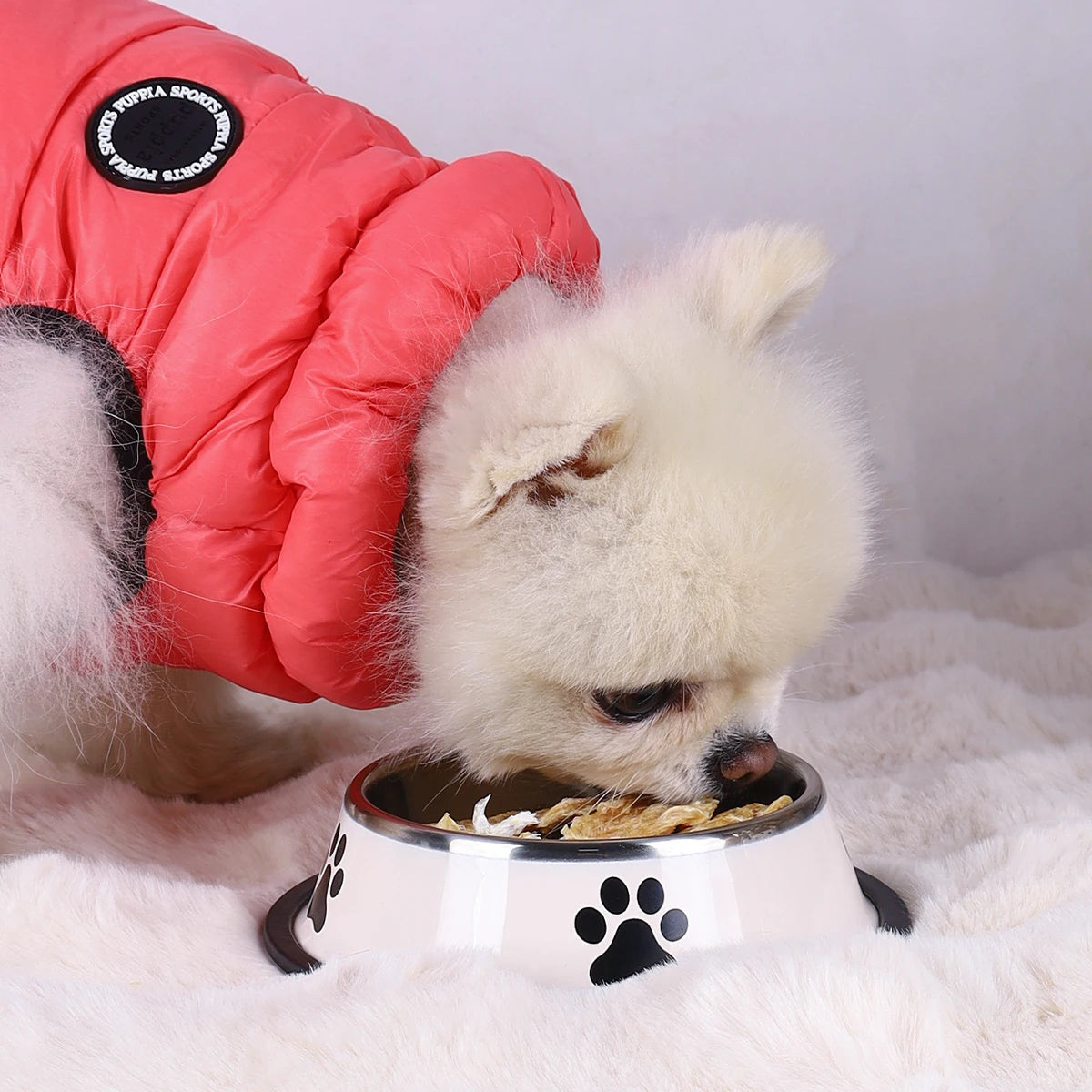 Stainless Steel Pet Bowl For Cats And Dogs