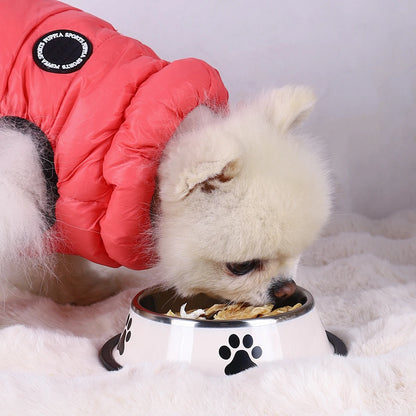 Stainless Steel Pet Bowl For Cats And Dogs