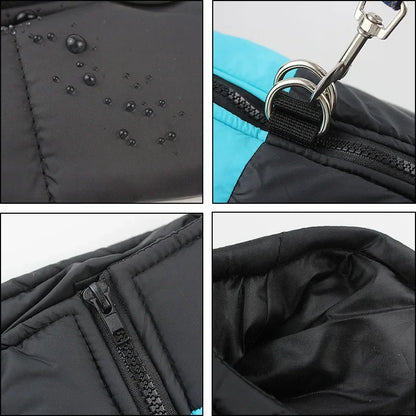 The Dog Face Padded Waterproof