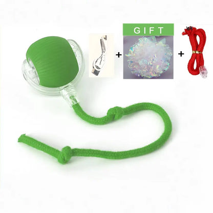 Purrfect Chase Smart Rolling Cat Toy with Tail