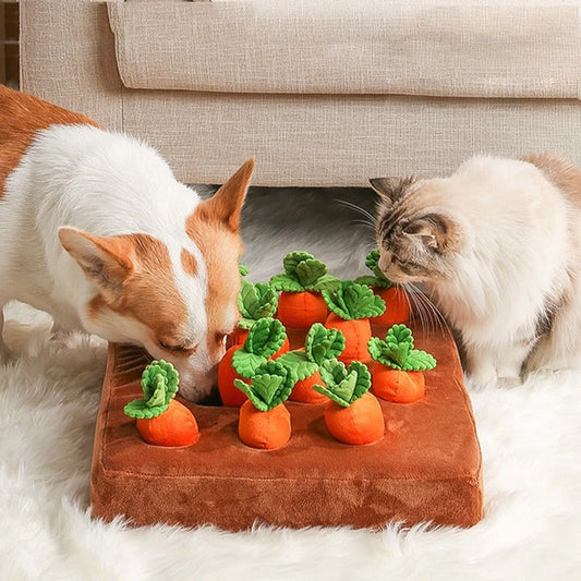 Carrot Garden Interactive Carrot Hide & Seek Toy